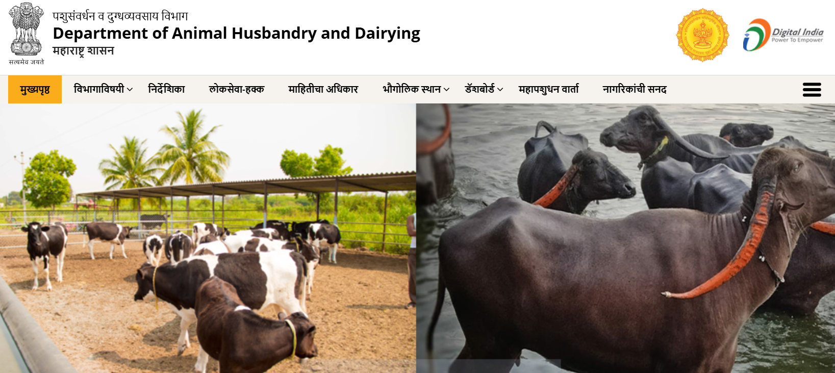 DAHD Maharashtra-5